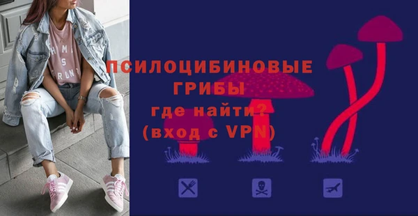МДМА Богородицк