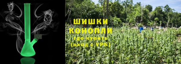 крисы Богданович