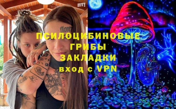 крисы Богданович