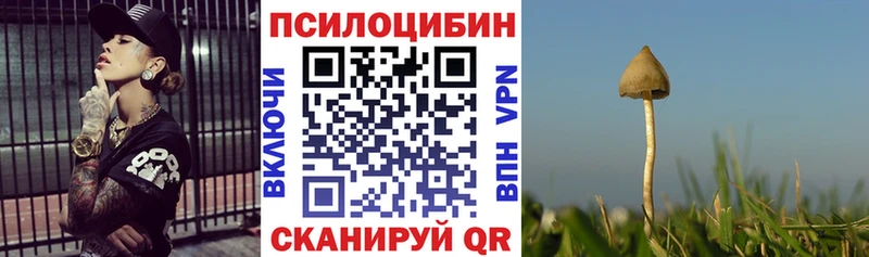 Галлюциногенные грибы Psilocybe  Купить где  Сольцы 